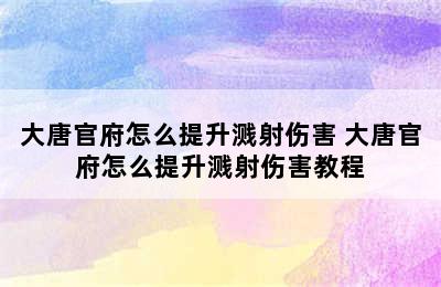 大唐官府怎么提升溅射伤害 大唐官府怎么提升溅射伤害教程